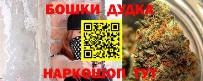 сатива Будённовск