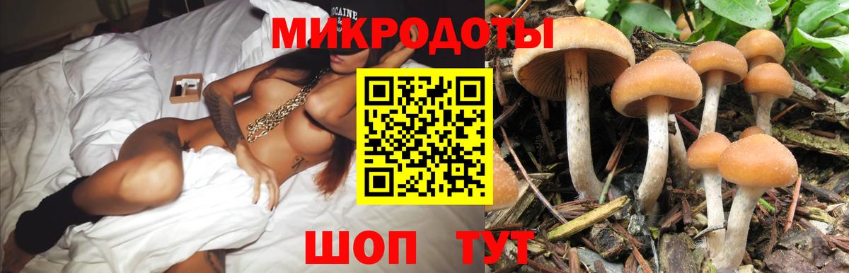 Галлюциногенные грибы Psilocybine cubensis  Вход с VPN  Южно-Сахалинск 